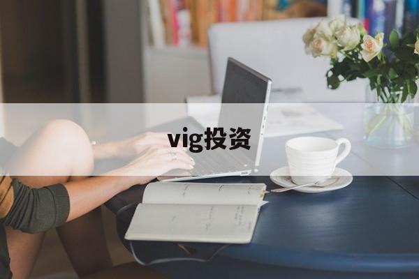 vig投资(idg资本在中国投资的公司有哪些)